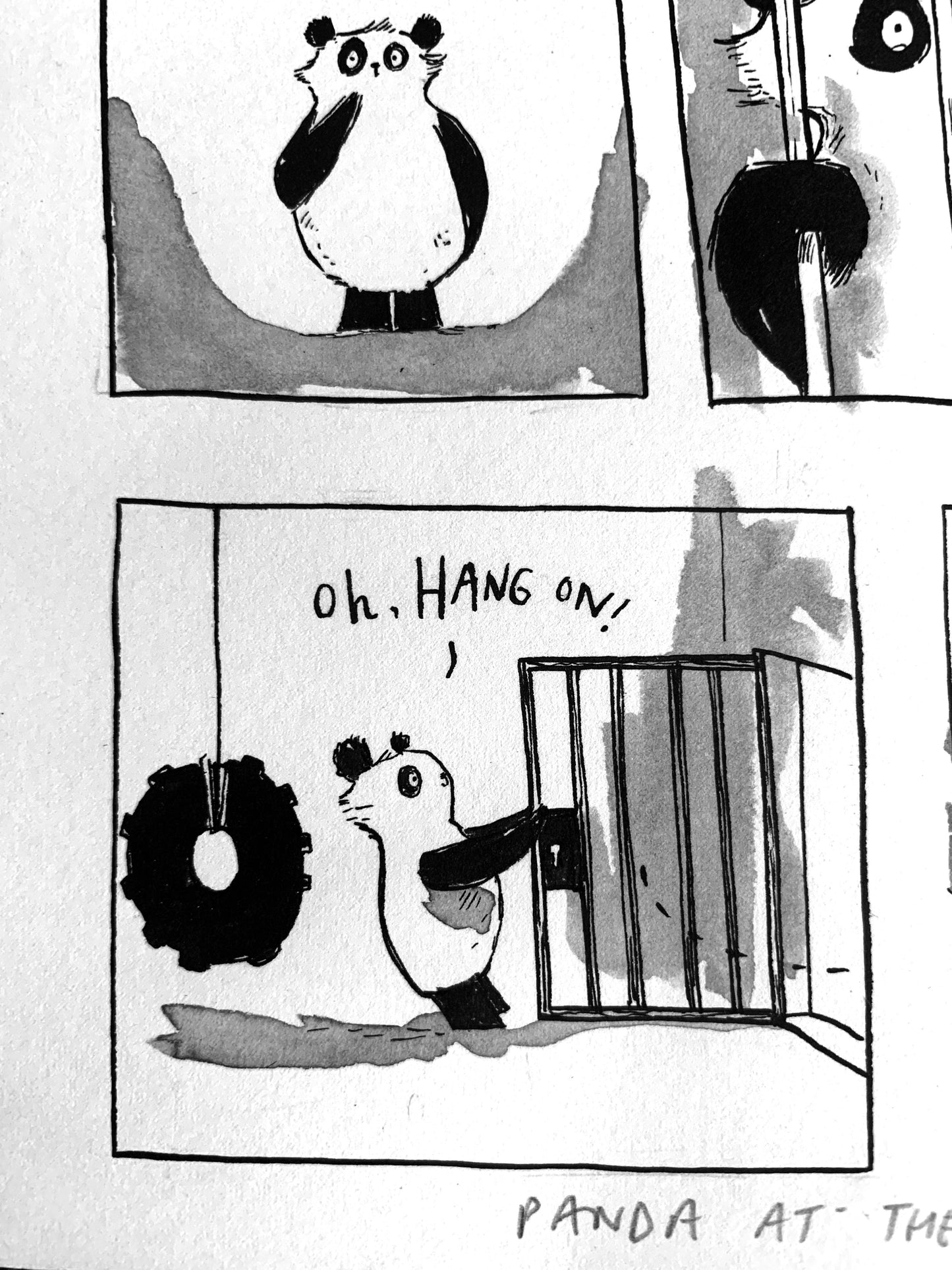 "It's OPEN!' Panda at the Door