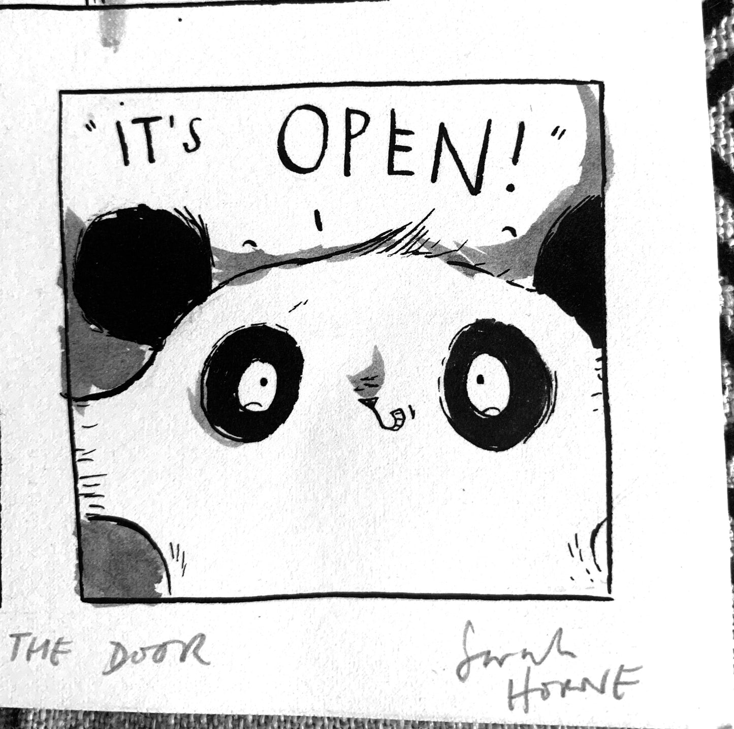 "It's OPEN!' Panda at the Door